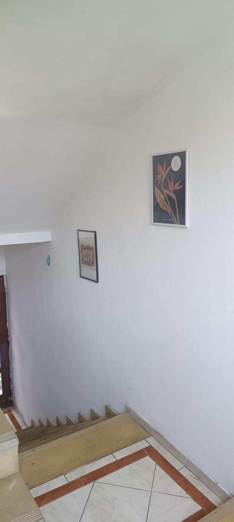 Sunshine Hostel 免费洗衣机 高速上网 Βελιγράδι Εξωτερικό φωτογραφία