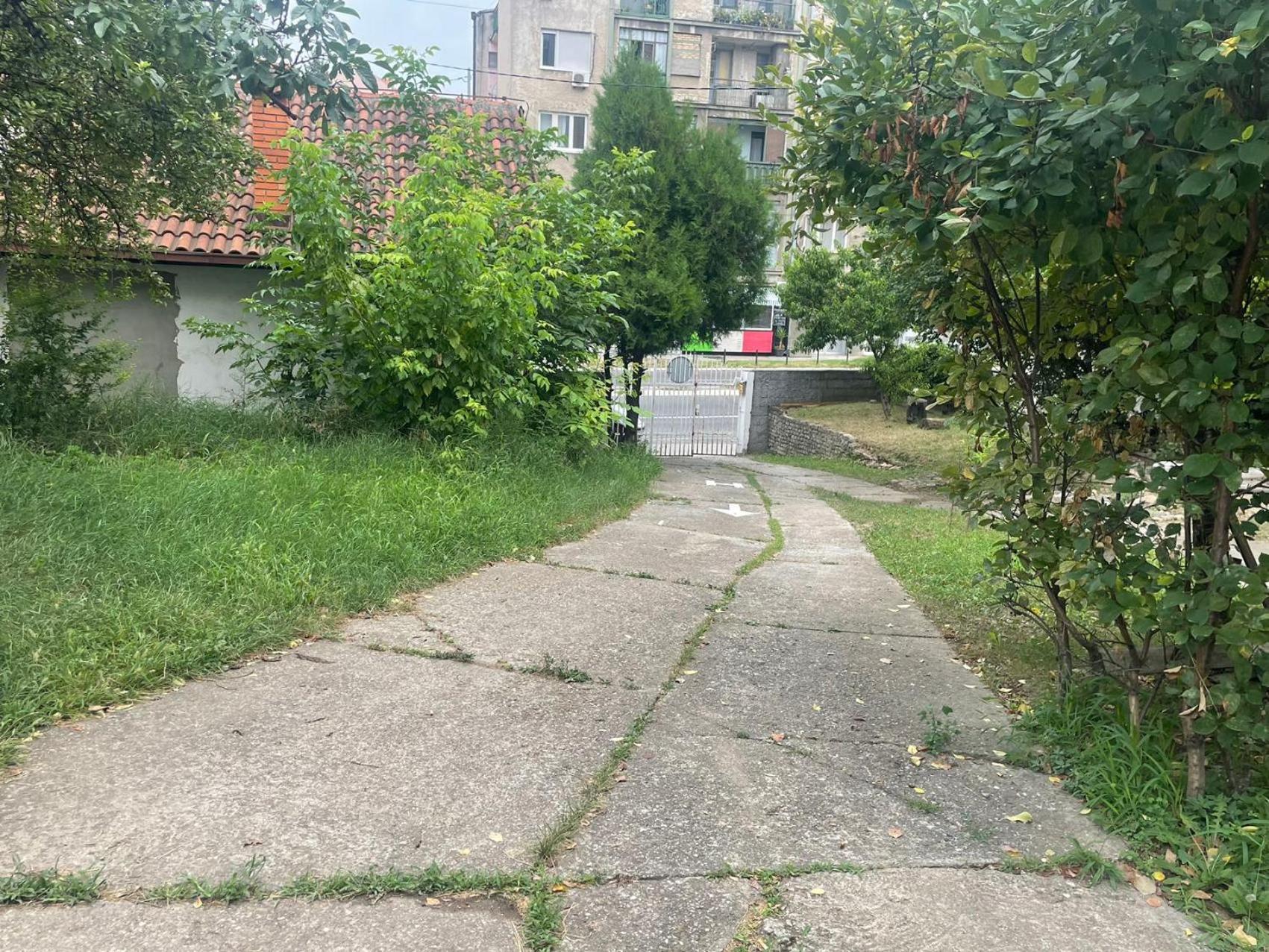 Sunshine Hostel 免费洗衣机 高速上网 Βελιγράδι Εξωτερικό φωτογραφία